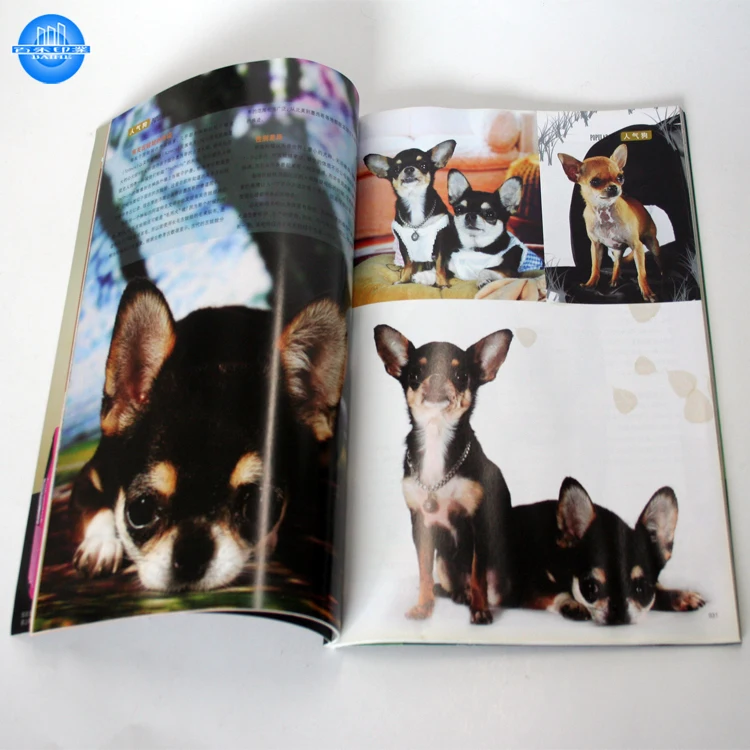 Custom Monthly Magazine Printer Art Magazine Printing Offset Printing Book & Paperboard Soft Cover Custom Size Accepted Paper