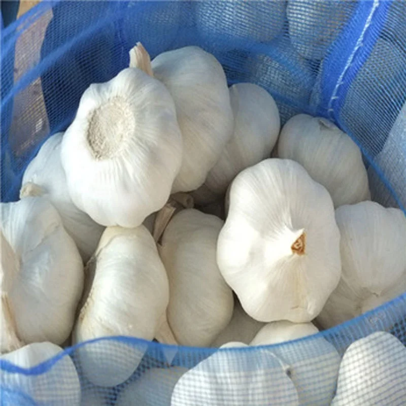 Alho Fresco for Brazil EU Africa from China garlic processing plant