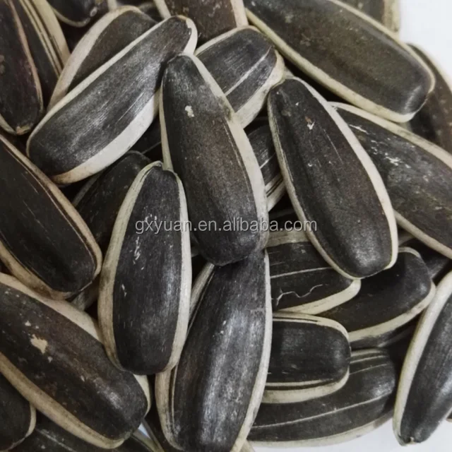 
 Семена подсолнечника внутренней Монголии, новый урожай  