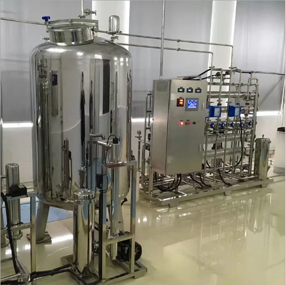 0.5M3/H Double Stage RO System Pharmaceutical Water Treatment Plant or System SS304/316 GMPRO