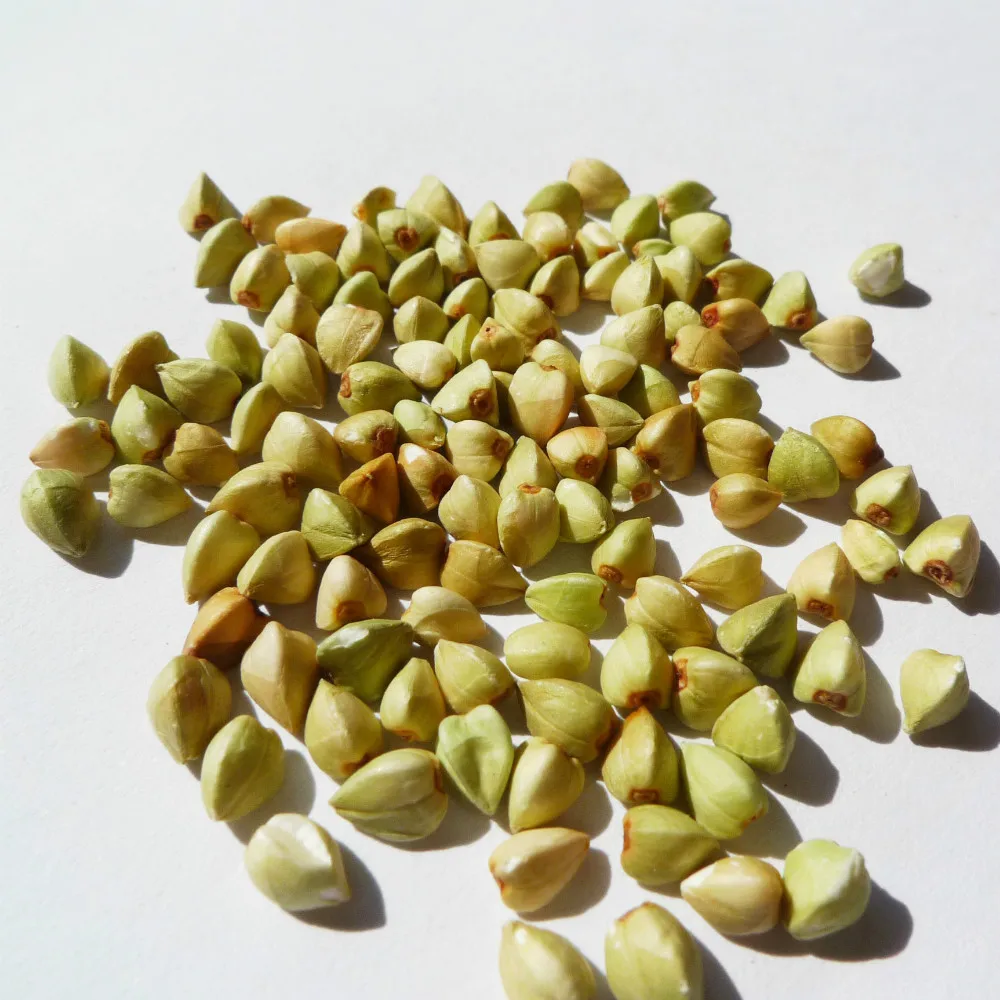 Поставка крупными партиями, органические гречневые ядра с гальваническим покрытием, распродажа