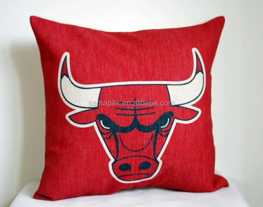 
Fancy Back Cushion Pillow with the logo of America basketball team 