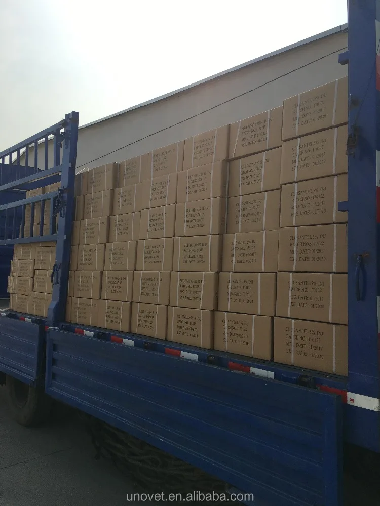 
pigeon flying animal antibiotic ivomec injection ivermectin 