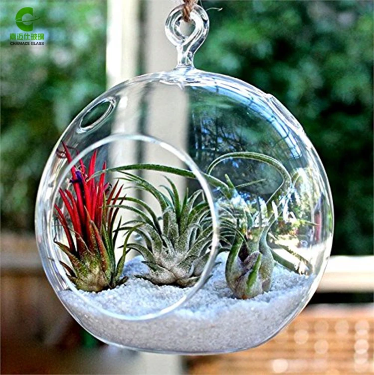 Hanging Glass Globes, Wholesale Terrarium Containers, Glass Vase Cheap