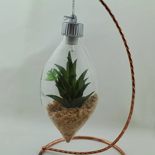 
We export succulent plants glass succulent plant potted 