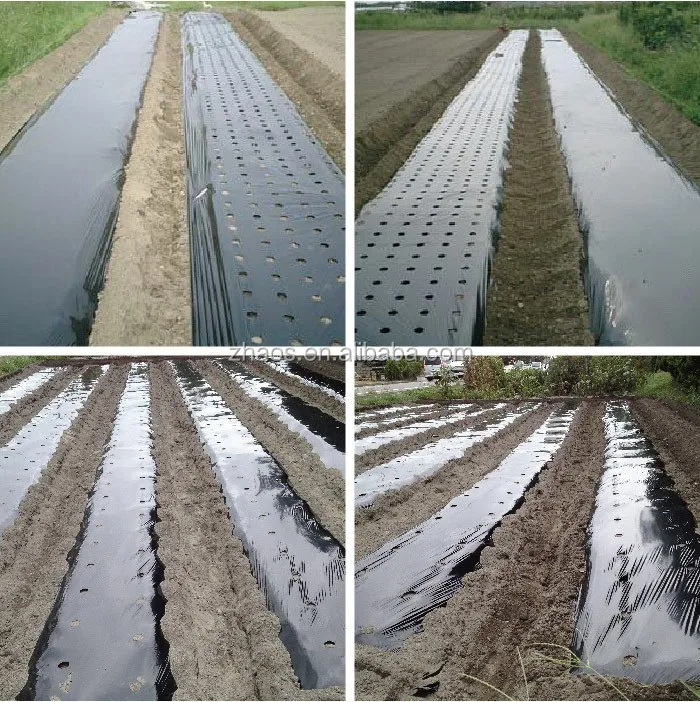 
reinforced plastic film | black plastic mulching film | clear plastic protective film 