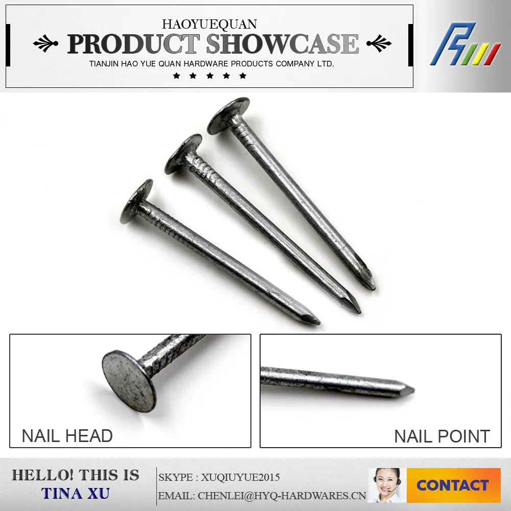 горячее продать Гвозди шиферные плоская глава прямо поставить из фабрики в Китае
