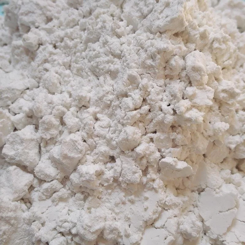 Diatomite Functional Filler for Paint and Coating Additives
