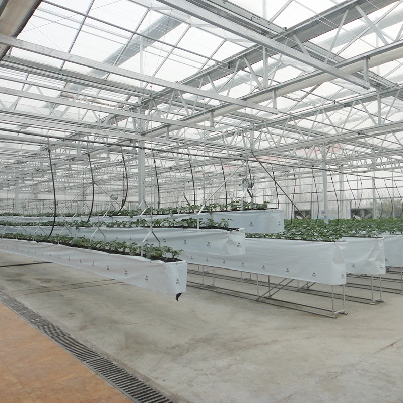 
Multi-span double-layer hollow glass cover strawberry greenhouse for sale 