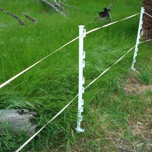 Environmental security steel plastic post electric fence for cattle ISO factory made in China