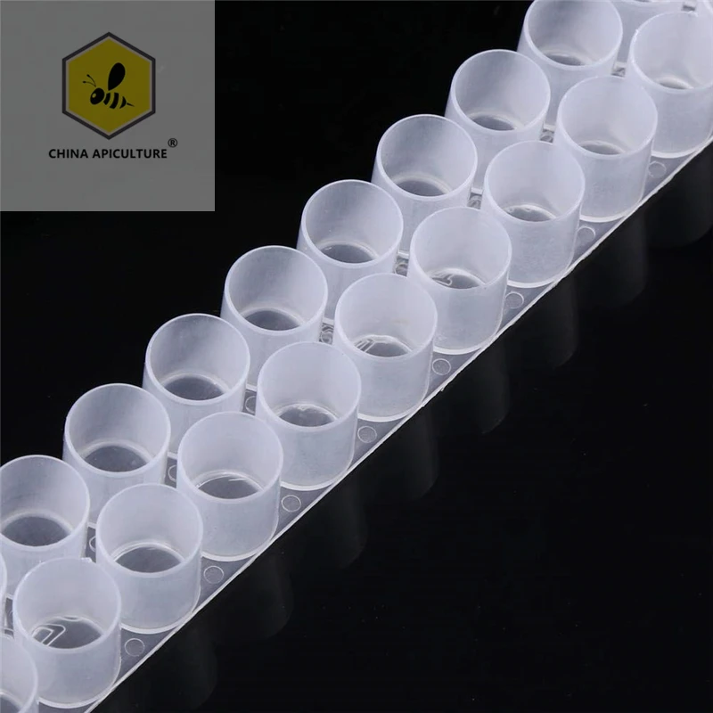 Beekeeping Tools Plastic Queen Bee Double Cell Bar Strip Set Base 33/66 Holes