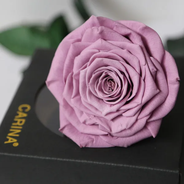 Natural Forever Rose Egypt For Any Occasion From Flower Farm