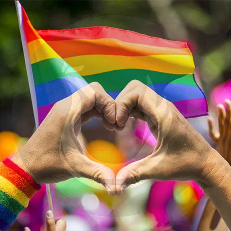 
Custom Promotion Cheap Rainbow Lesbian And Gay Pride Hand Flag 