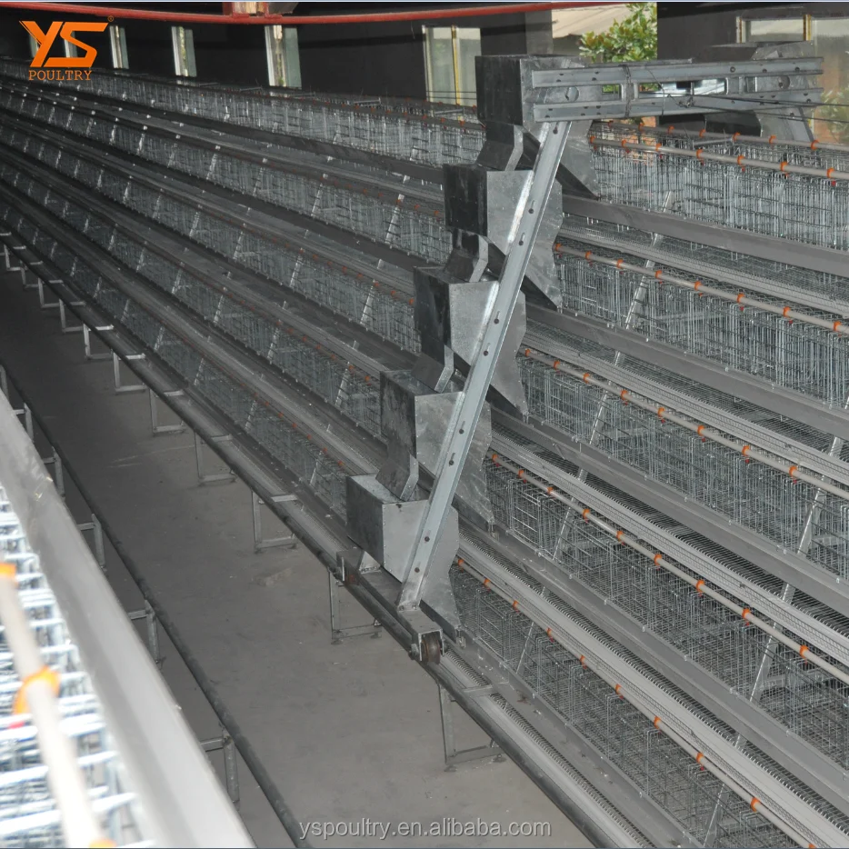 
Hot Galvanized A Type Battery Chicken Layer Cage 