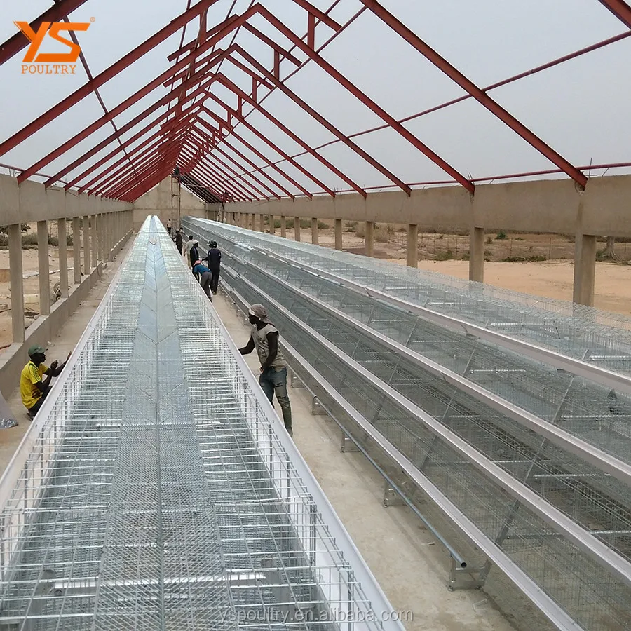 
Chicken Farm Equipment Battery laying hen cage 