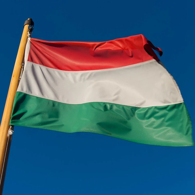 Custom Made Different Types National Country Hungary Red White Green Flag