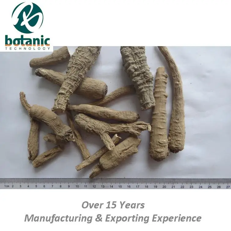 
Dahurian Angelica Root 