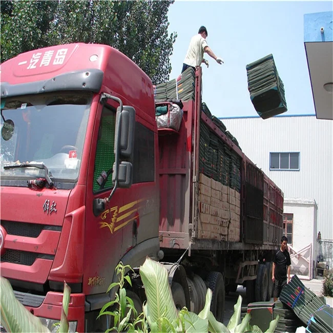 New arrival Plastic Human Skin teaching Models For School Supplies for sale 	skin anatomical model