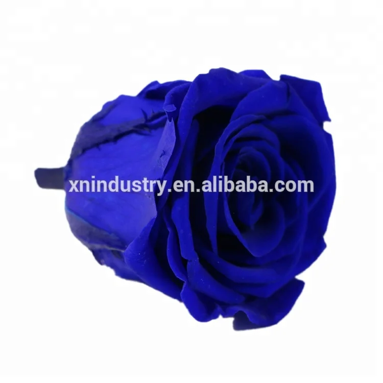 Top Quality preserved rose 4-5 cm blue Roses from Yunnan