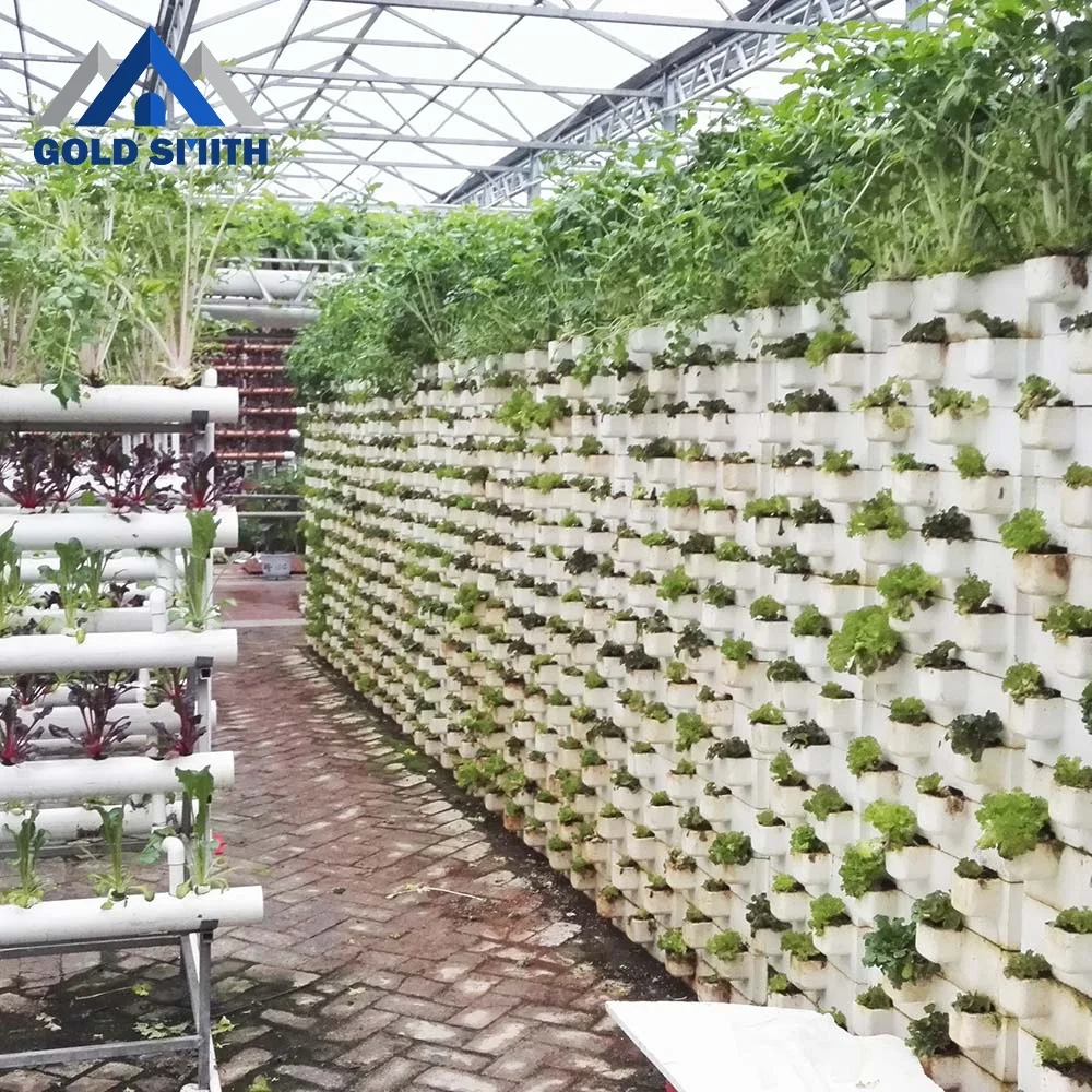 Gold Smith Intelligent Plastic Film Greenhouse Steel Structure for Vegetable Planting