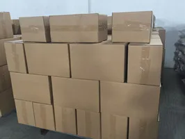 2021 crop China bulk raw GWS pumpkin seeds