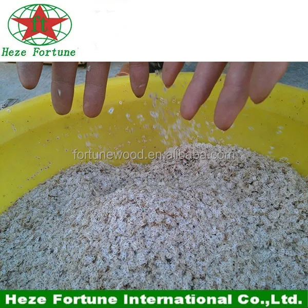 Traditional paulownia hybrid 9501 seeds with certificate