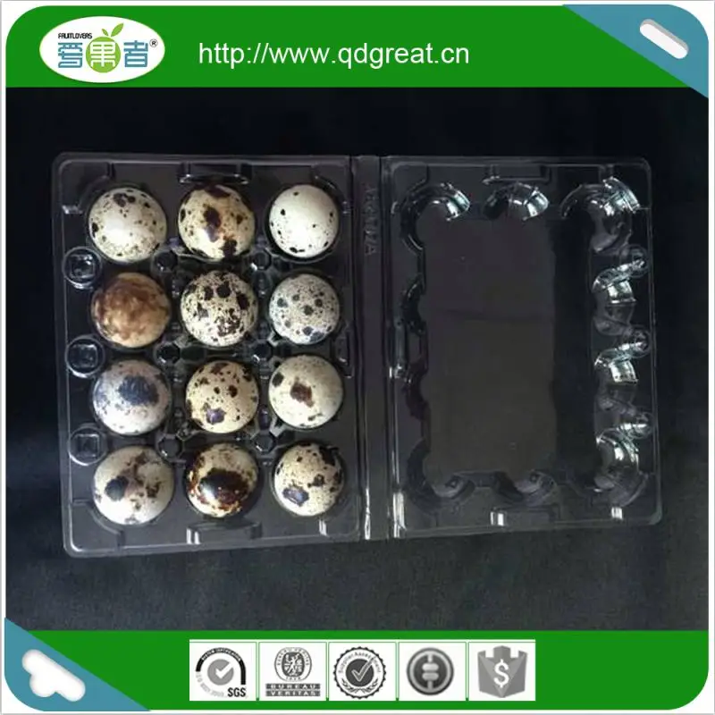 12 Quail Egg Tray Plastic