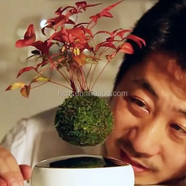 плавающие левитация завод горшок магнитный плавающий реальный завод в воздухе