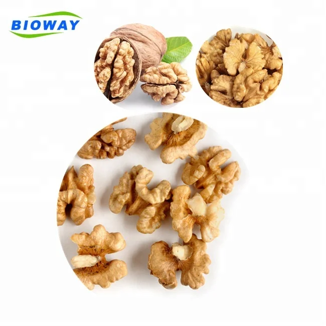 100% pure NON GMO food grade natural Organic Walnut Kernels