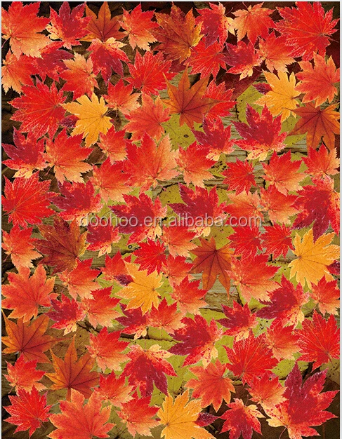 PET lenticular 100 lens flipping 3d effect postcard