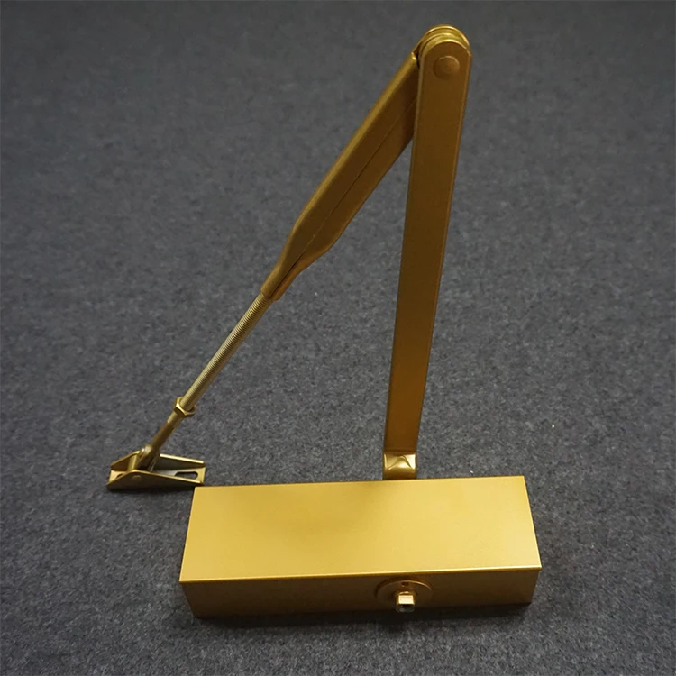 High Quality Hydraulic Fireproof Two Way Door Closer Gold Finished Closing Doors Machine