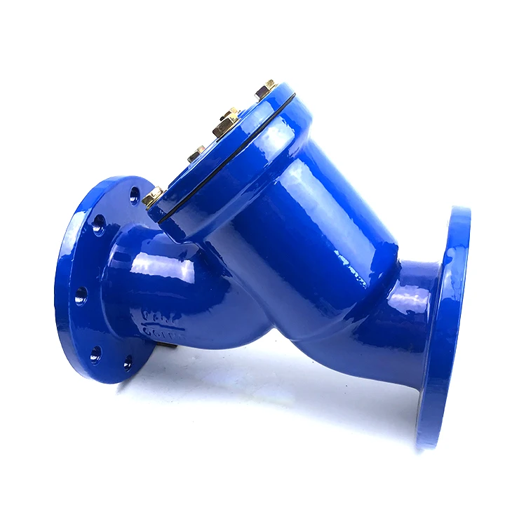 Y-Type Flange End Strainer