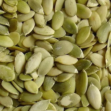 
new crop shine skin pumpkin seeds kernels 