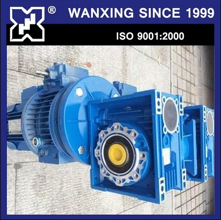 NMRV 063 Worm Gearbox with Horizontal Type Udl Series Planet Cone-Disk Stepless Motor Speed Variator
