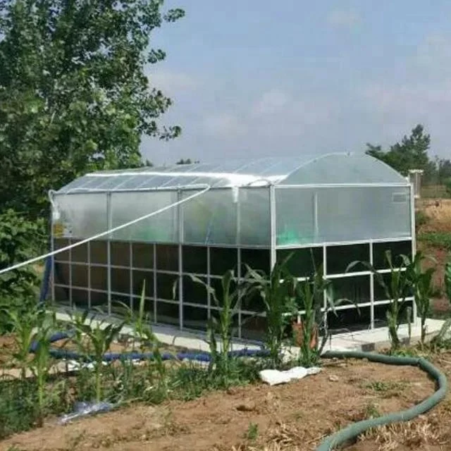 
Teenwin china suppliers biogas from agricultural waste 