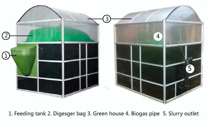 Простота установки, мини-Биогазовая установка Teenwin