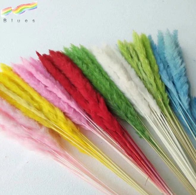 High Quality Dried Small Pampas Reed Grass Phragmites Wedding Home Decor Flower Bouquet Set of 15pcs