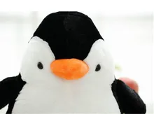 HTB1StpEOXXXXXXWXXXXq6xXFXXXC