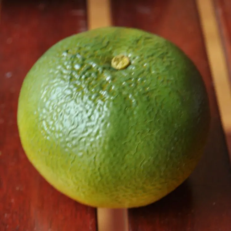 Professional manufacture making artificial cheap plants green lemon orange for home decoration