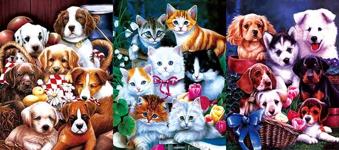 picture 3d wallpaper 3d cat picture lenticular poster with flip effect