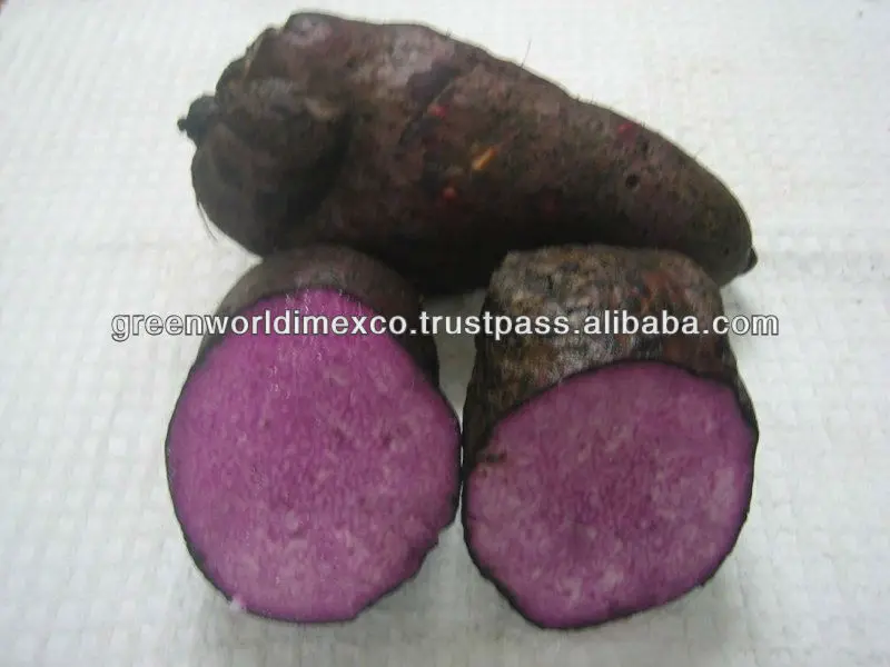 PURPLE YAM - HIGH QUALITY - CHEAPEST PRICE