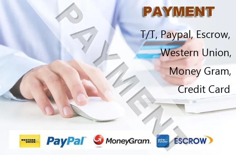 seahorse water fountain