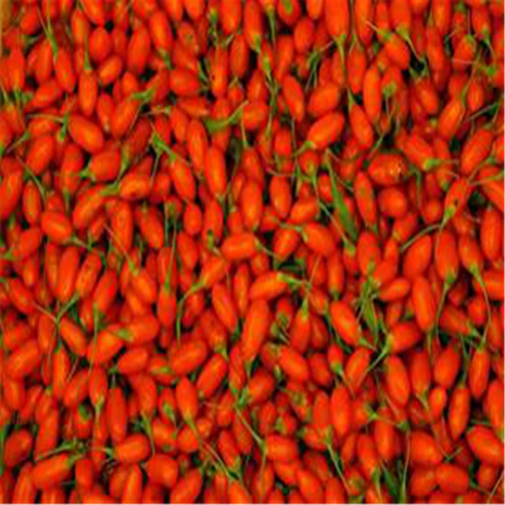 
High quality hot sale Organic Goji Berry Juice 