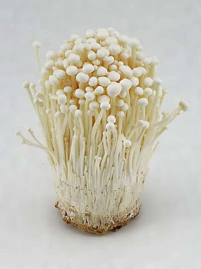 Detan Fresh Enoki, ботаническое название гриба