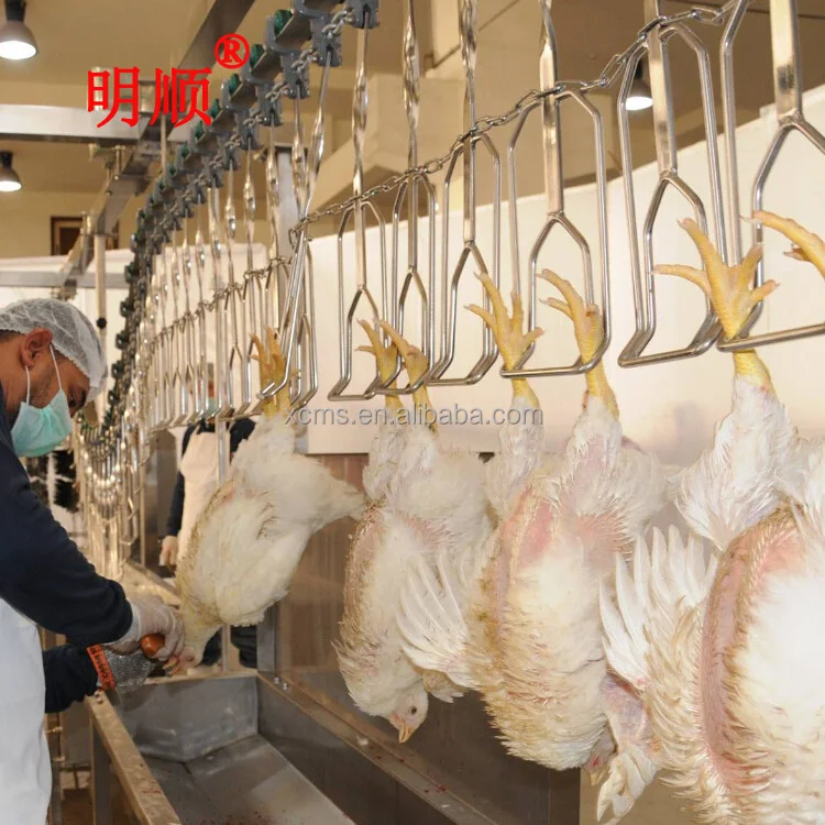 2020 hot sale 3000 BPH complete set chicken slaughtering equipment for slaughtering house