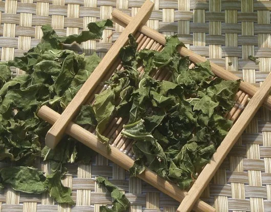 Chinese Natural Herbal Tea Mulberry Leaf Tea