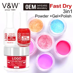 VW 2019 New Product 3 In 1 Acrylic Powder For Dipping And Gel Polish And Nail Lacuqer Nail Dipping Powder Set Sample