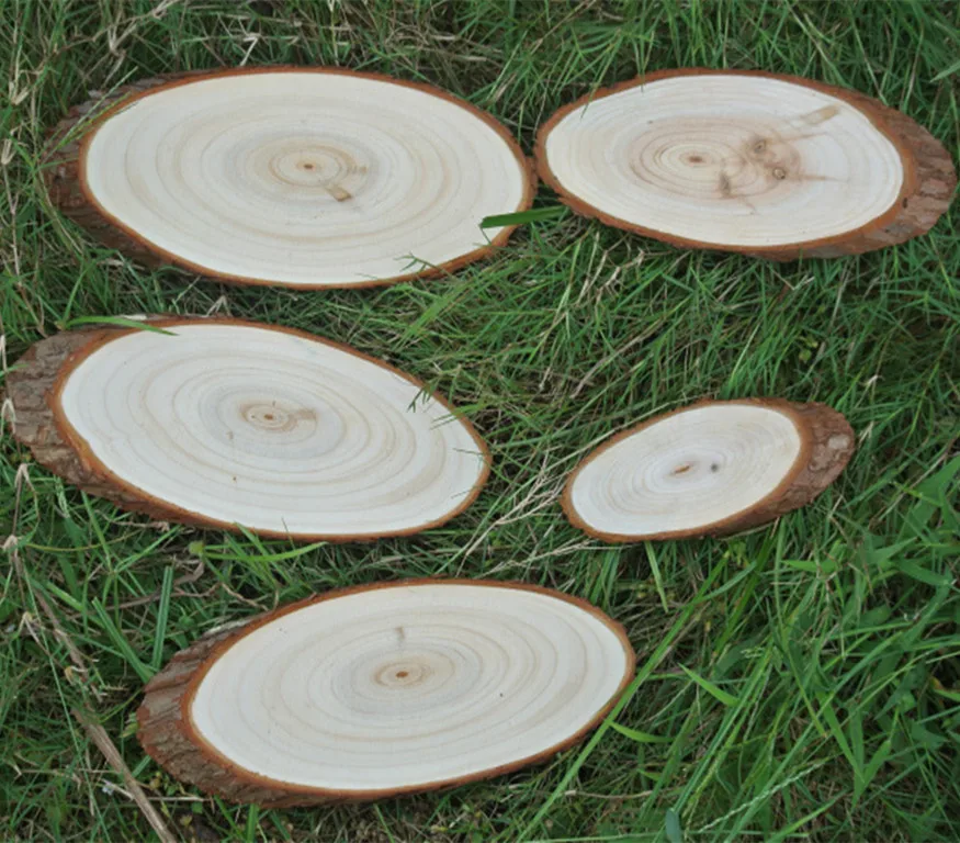 Factory Direct Craft Large Oval Natural Wood Tree Slice with hole