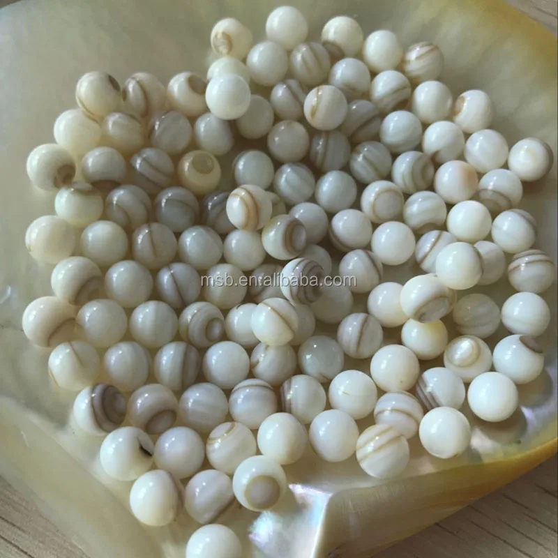 Natural Freshwater Mother Of Pearl Shell Loose Beads For Jewelry Making