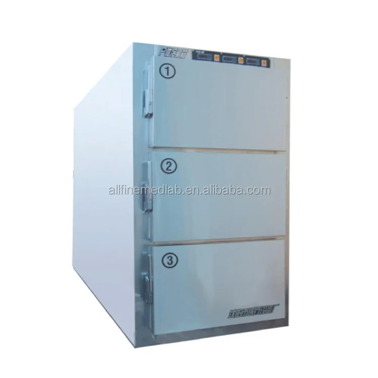 Морг Морозильник 3 Cropses